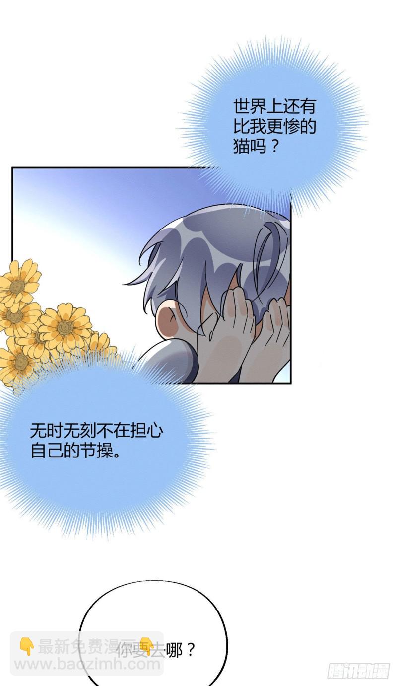 《今天也要努力当只猫》第22话 大变态——！ 第12页