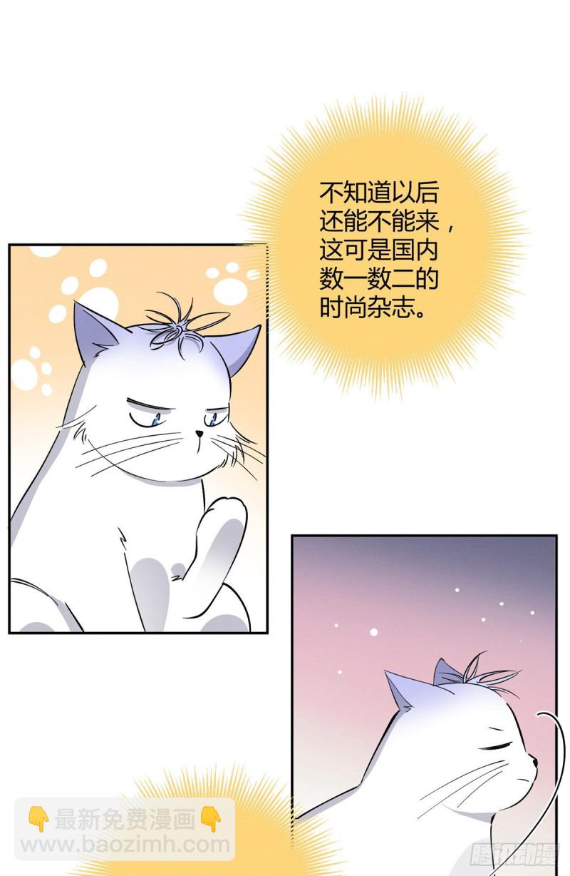 《今天也要努力当只猫》第24话 别冤枉他 第12页