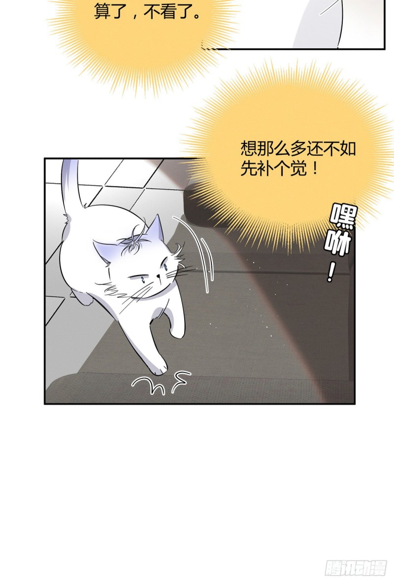 《今天也要努力当只猫》第24话 别冤枉他 第13页
