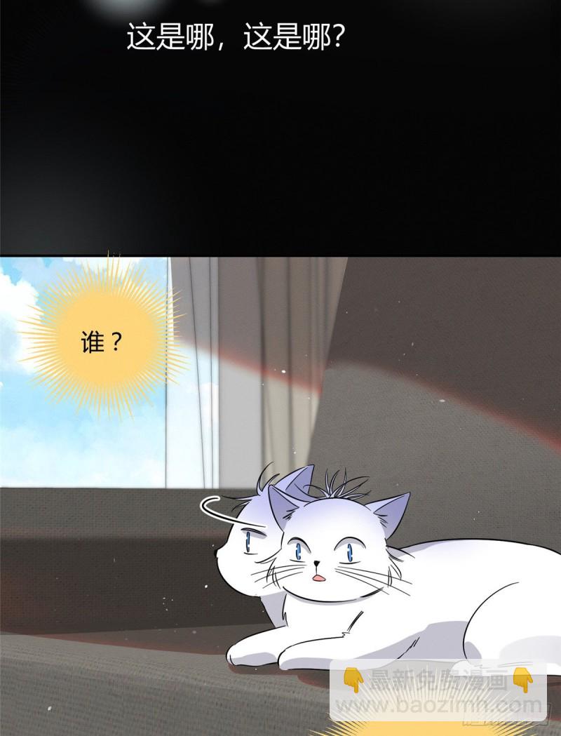 《今天也要努力当只猫》第24话 别冤枉他 第16页