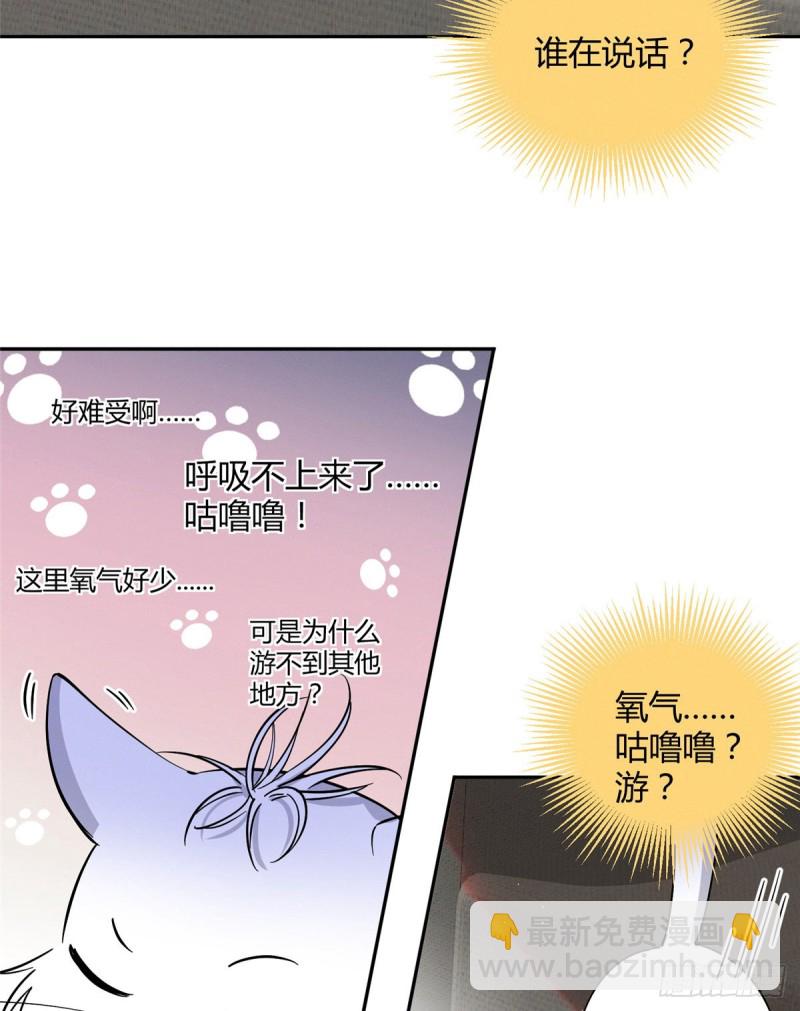《今天也要努力当只猫》第24话 别冤枉他 第17页