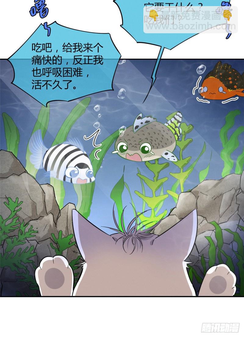 《今天也要努力当只猫》第24话 别冤枉他 第19页