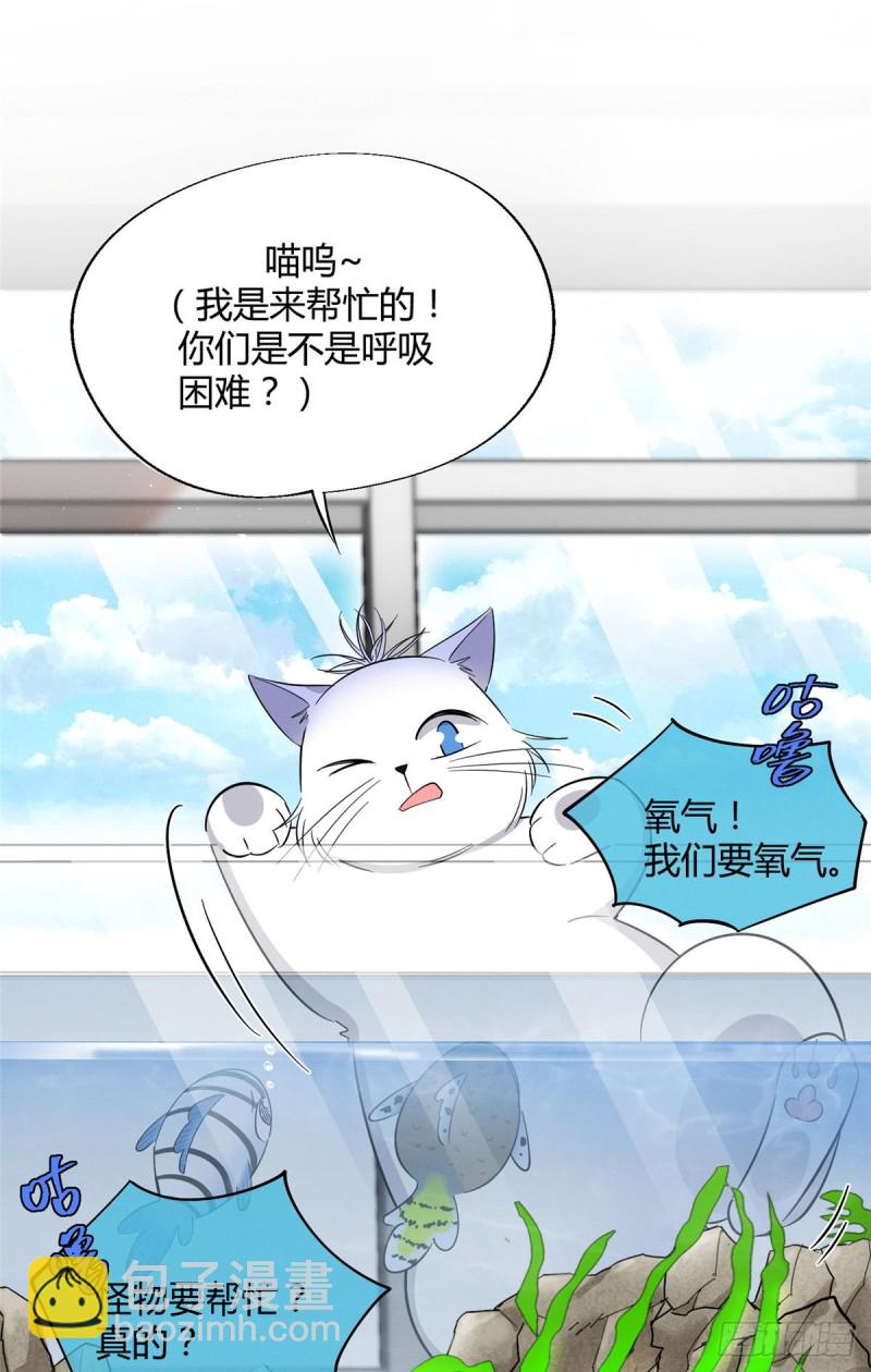 《今天也要努力当只猫》第24话 别冤枉他 第20页