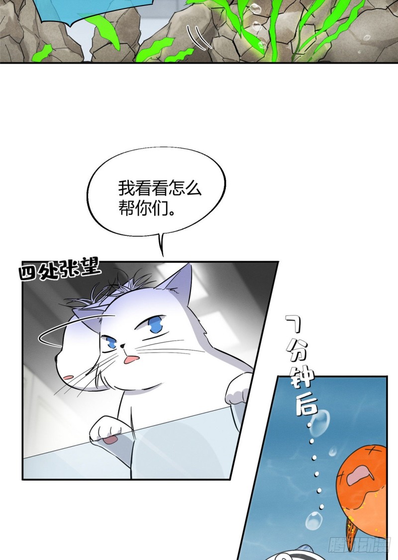 《今天也要努力当只猫》第24话 别冤枉他 第21页