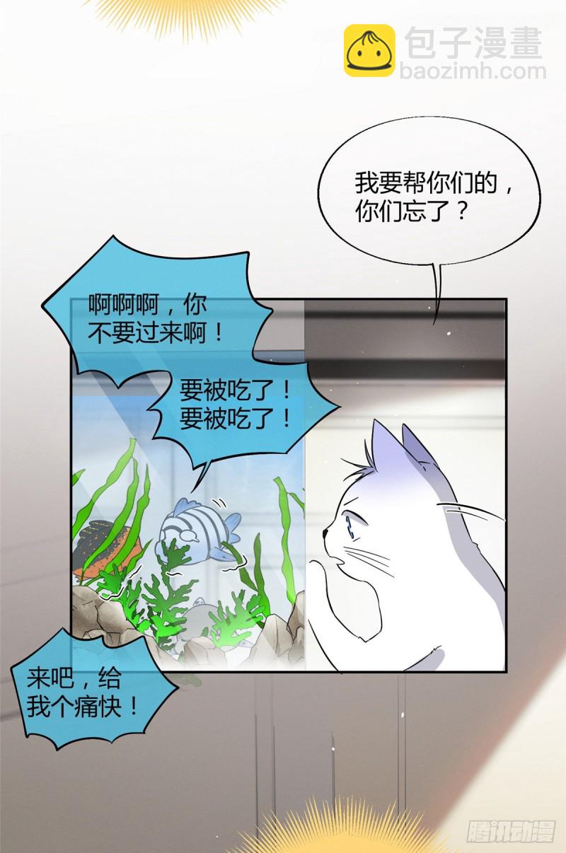 《今天也要努力当只猫》第24话 别冤枉他 第23页
