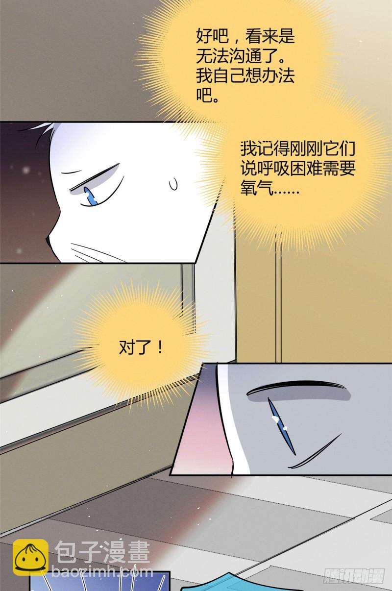 《今天也要努力当只猫》第24话 别冤枉他 第24页