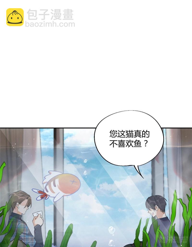 《今天也要努力当只猫》第24话 别冤枉他 第2页