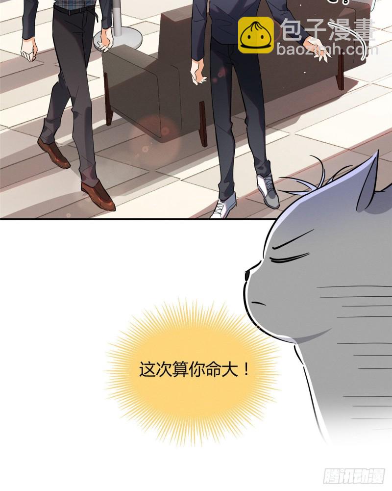 《今天也要努力当只猫》第24话 别冤枉他 第7页