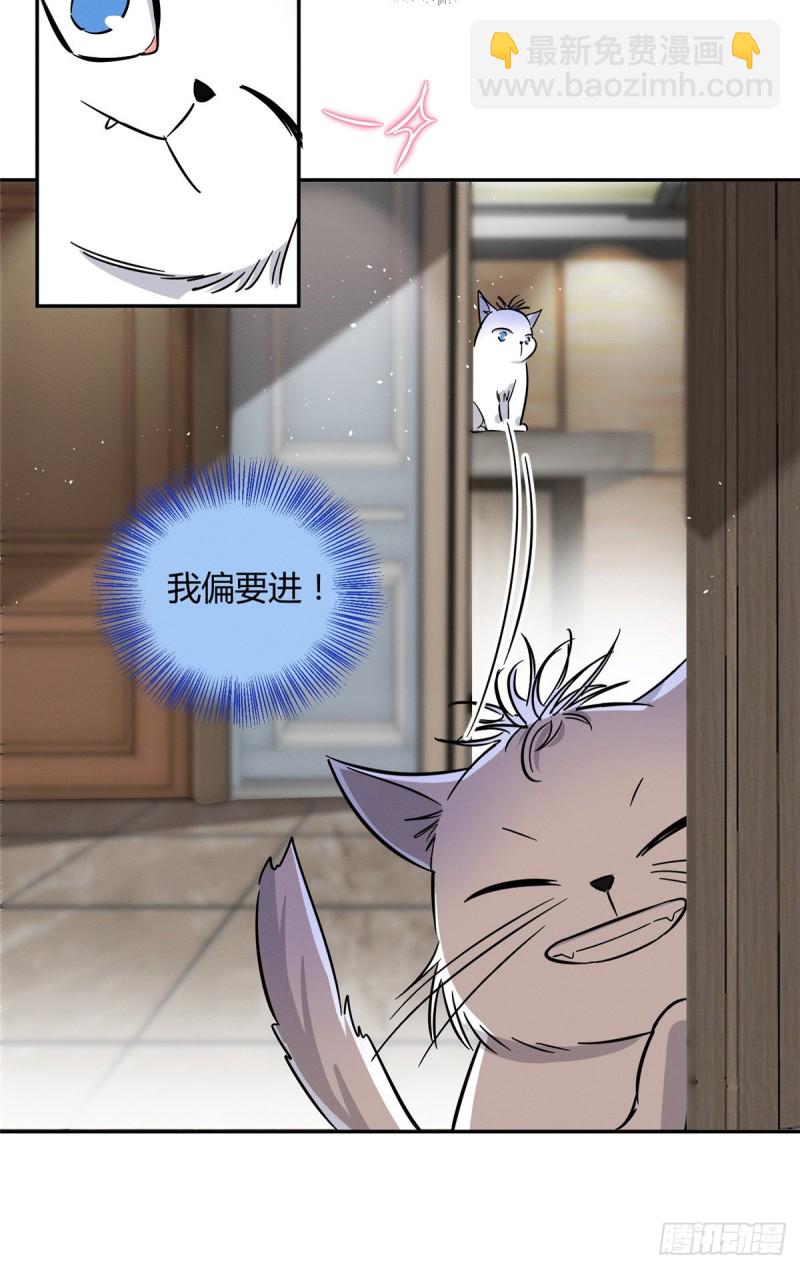 《今天也要努力当只猫》第28话 画你 第12页