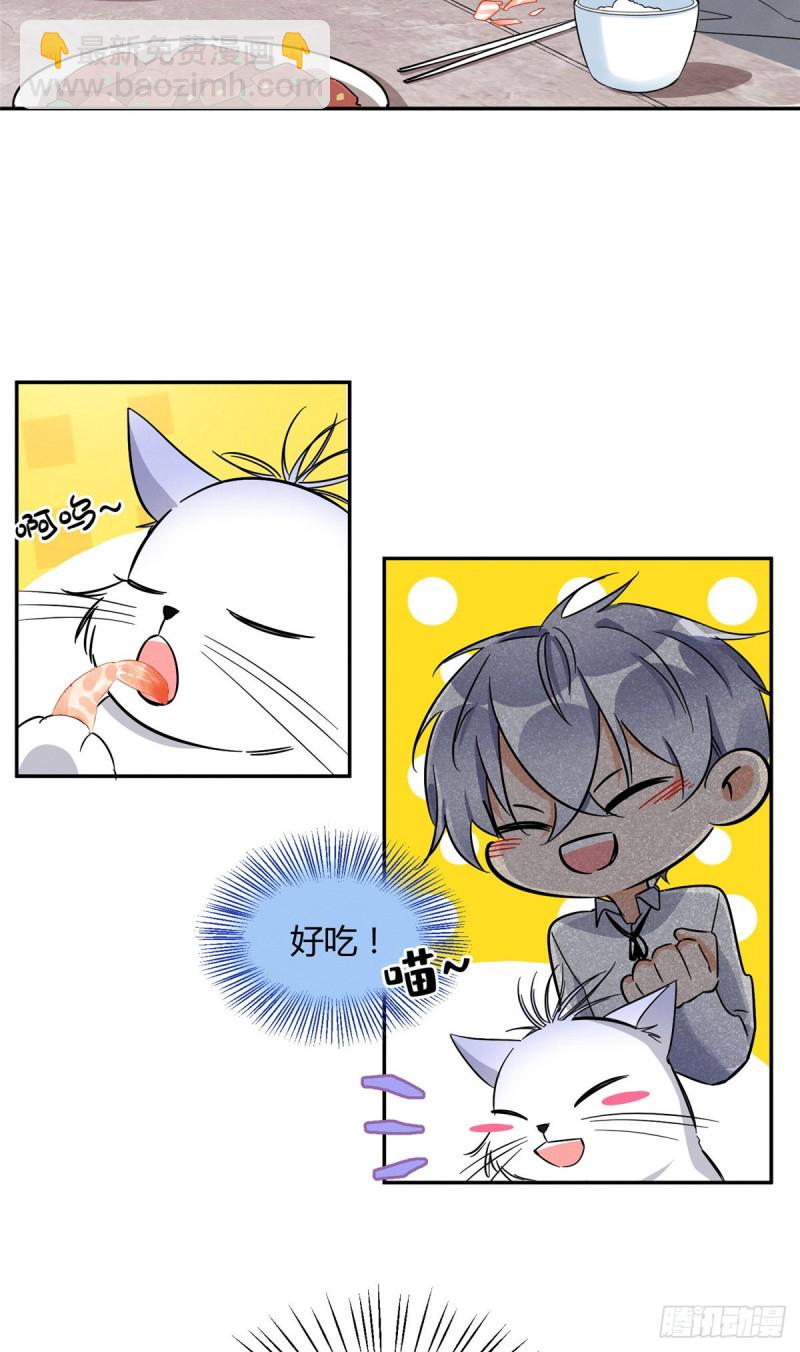 《今天也要努力当只猫》第28话 画你 第6页