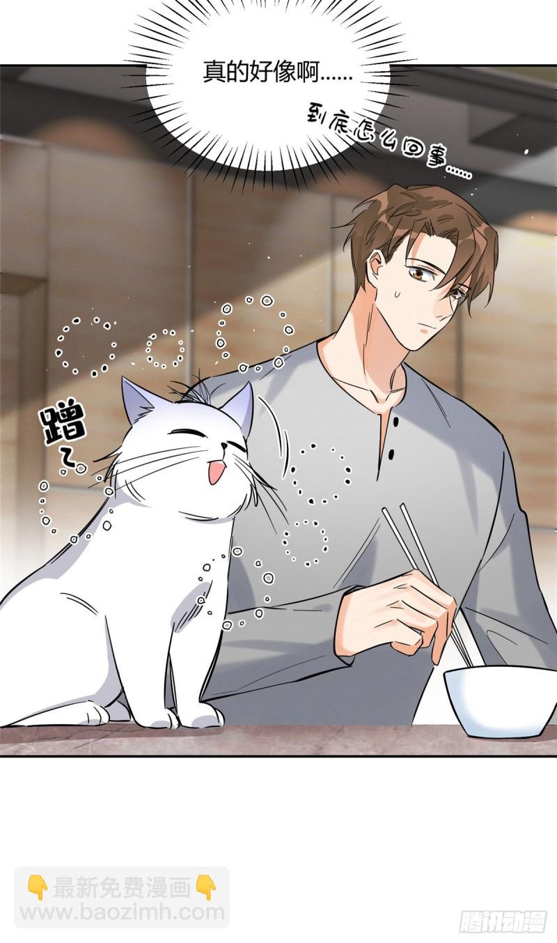《今天也要努力当只猫》第28话 画你 第7页