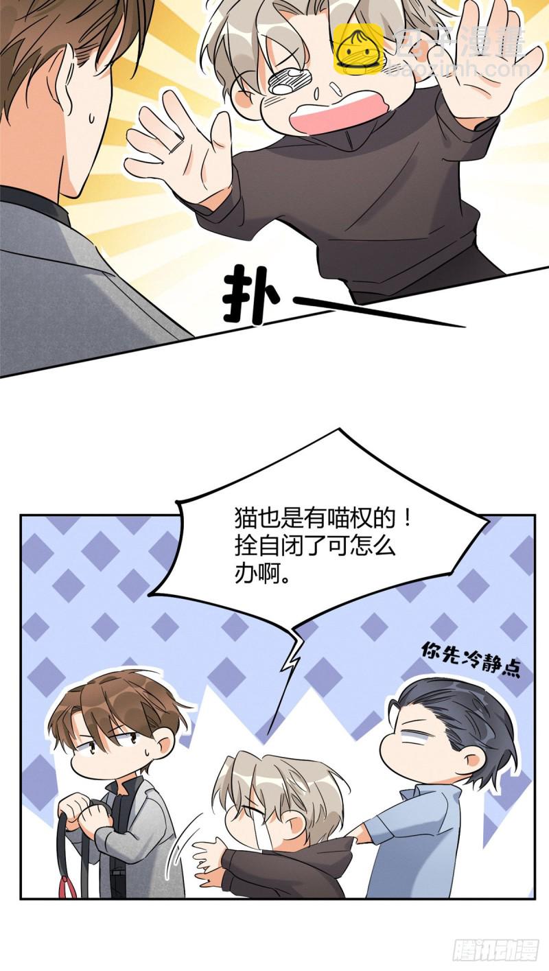 《今天也要努力当只猫》第27话 仗着我喜欢你 第19页