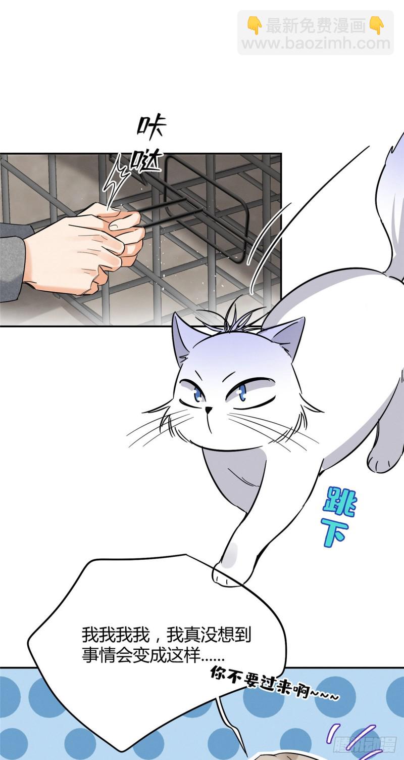《今天也要努力当只猫》第27话 仗着我喜欢你 第24页