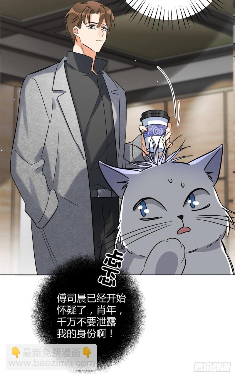 《今天也要努力当只猫》第27话 仗着我喜欢你 第36页