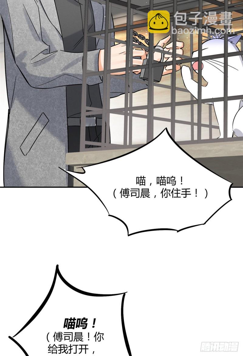《今天也要努力当只猫》第27话 仗着我喜欢你 第4页
