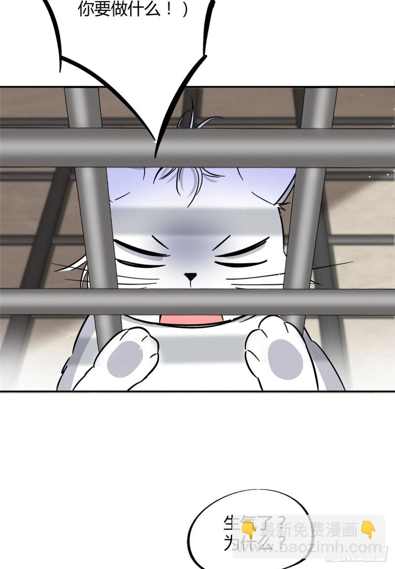 《今天也要努力当只猫》第27话 仗着我喜欢你 第5页