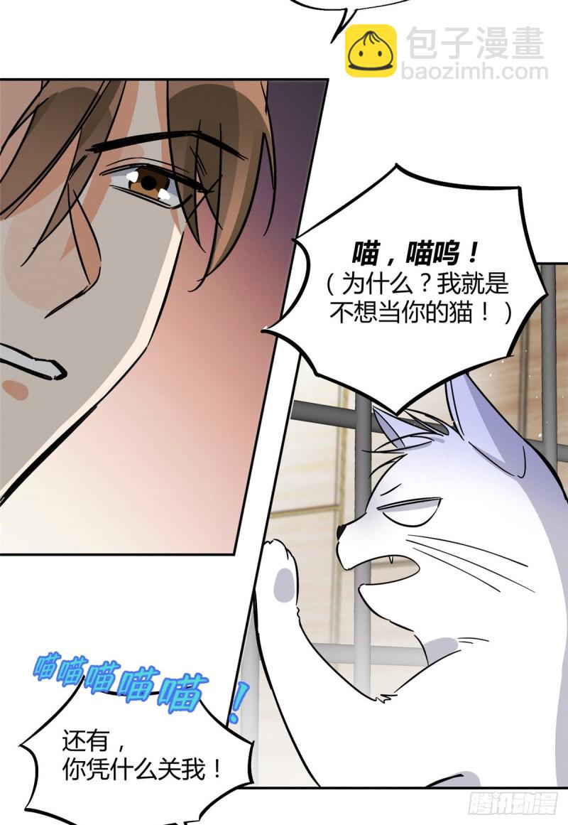 《今天也要努力当只猫》第27话 仗着我喜欢你 第6页