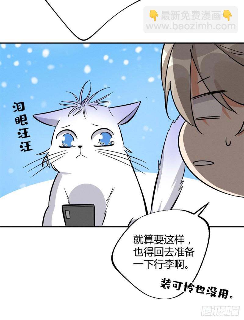 《今天也要努力当只猫》第26话 他爱的是我 第35页