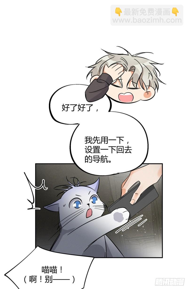 《今天也要努力当只猫》第26话 他爱的是我 第36页