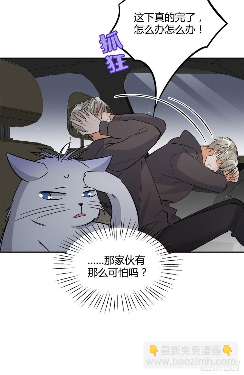《今天也要努力当只猫》第26话 他爱的是我 第40页