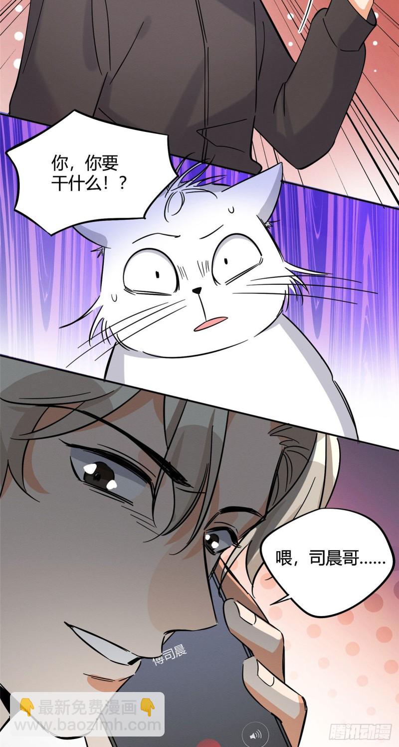 《今天也要努力当只猫》第26话 他爱的是我 第42页