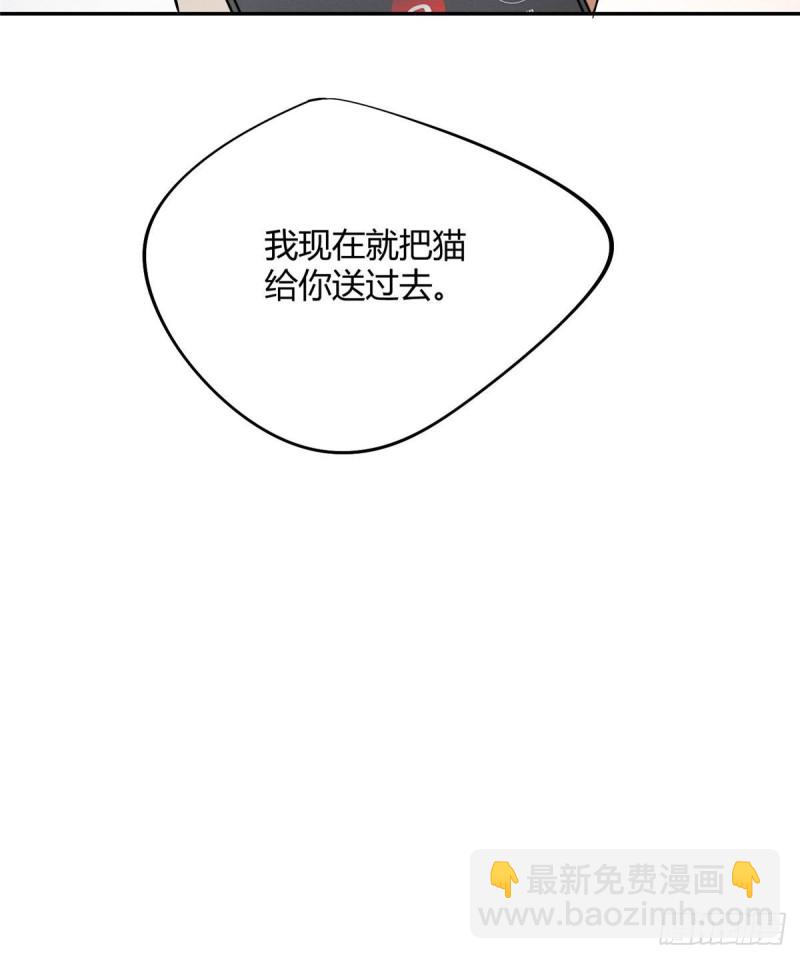 《今天也要努力当只猫》第26话 他爱的是我 第43页