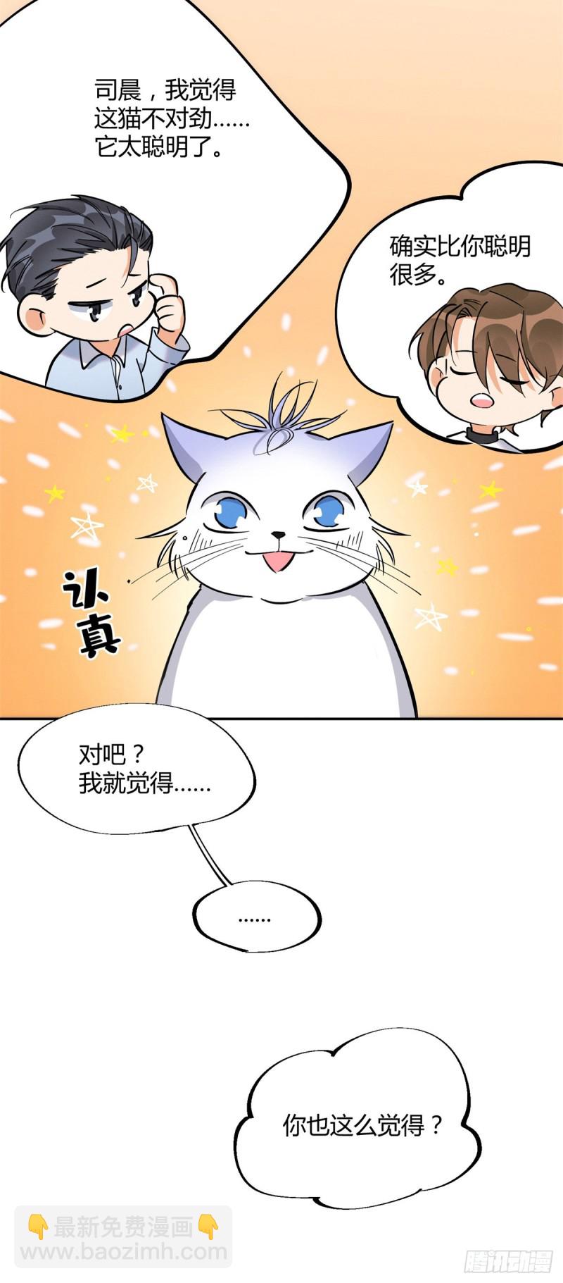 《今天也要努力当只猫》第25话 又亲了！ 第15页