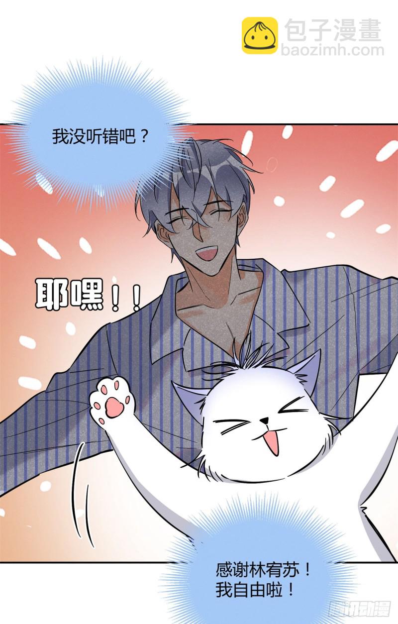 《今天也要努力当只猫》第25话 又亲了！ 第21页
