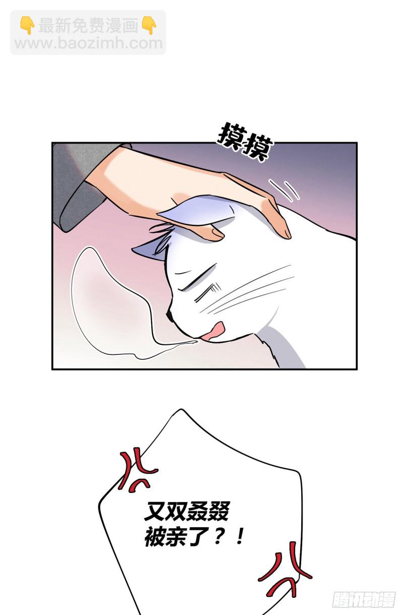 《今天也要努力当只猫》第25话 又亲了！ 第25页