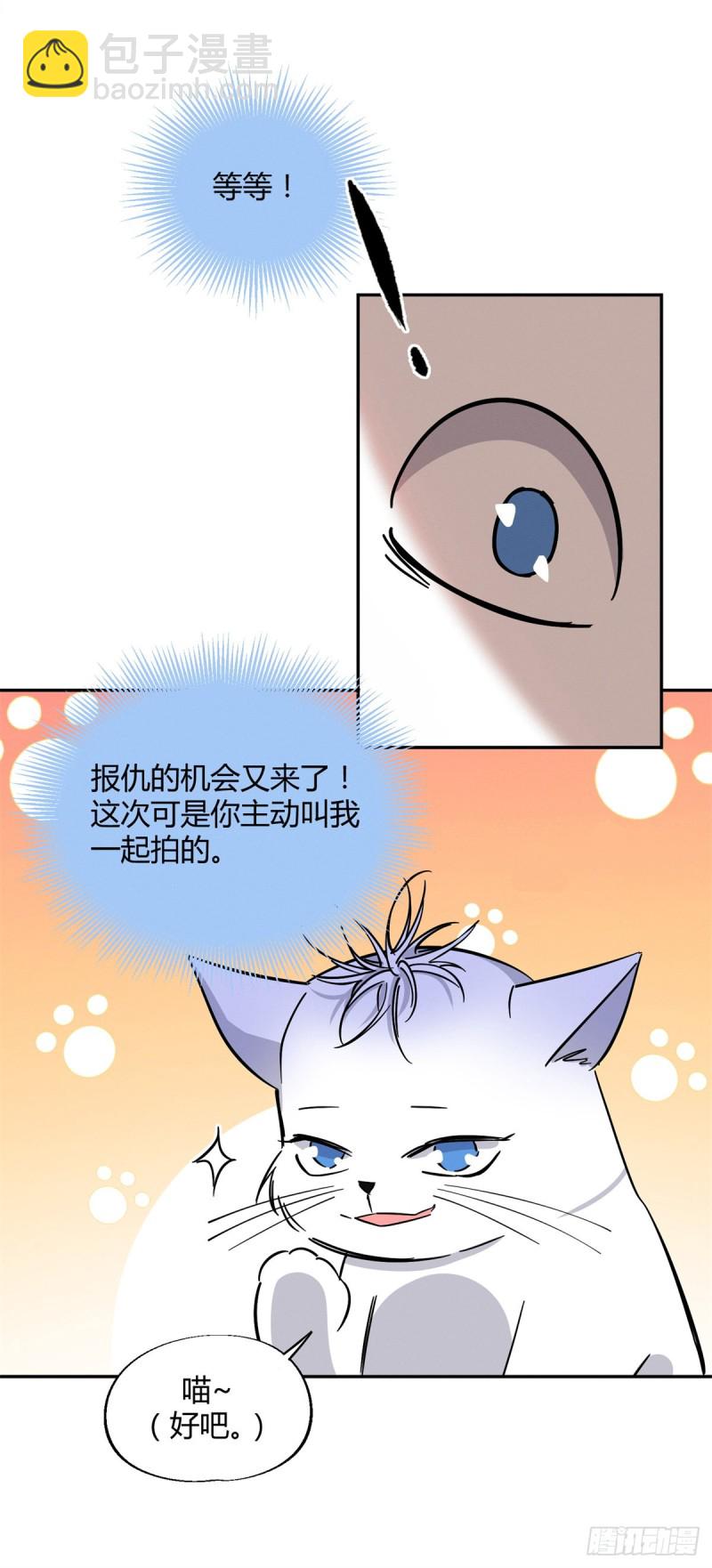 《今天也要努力当只猫》第25话 又亲了！ 第5页