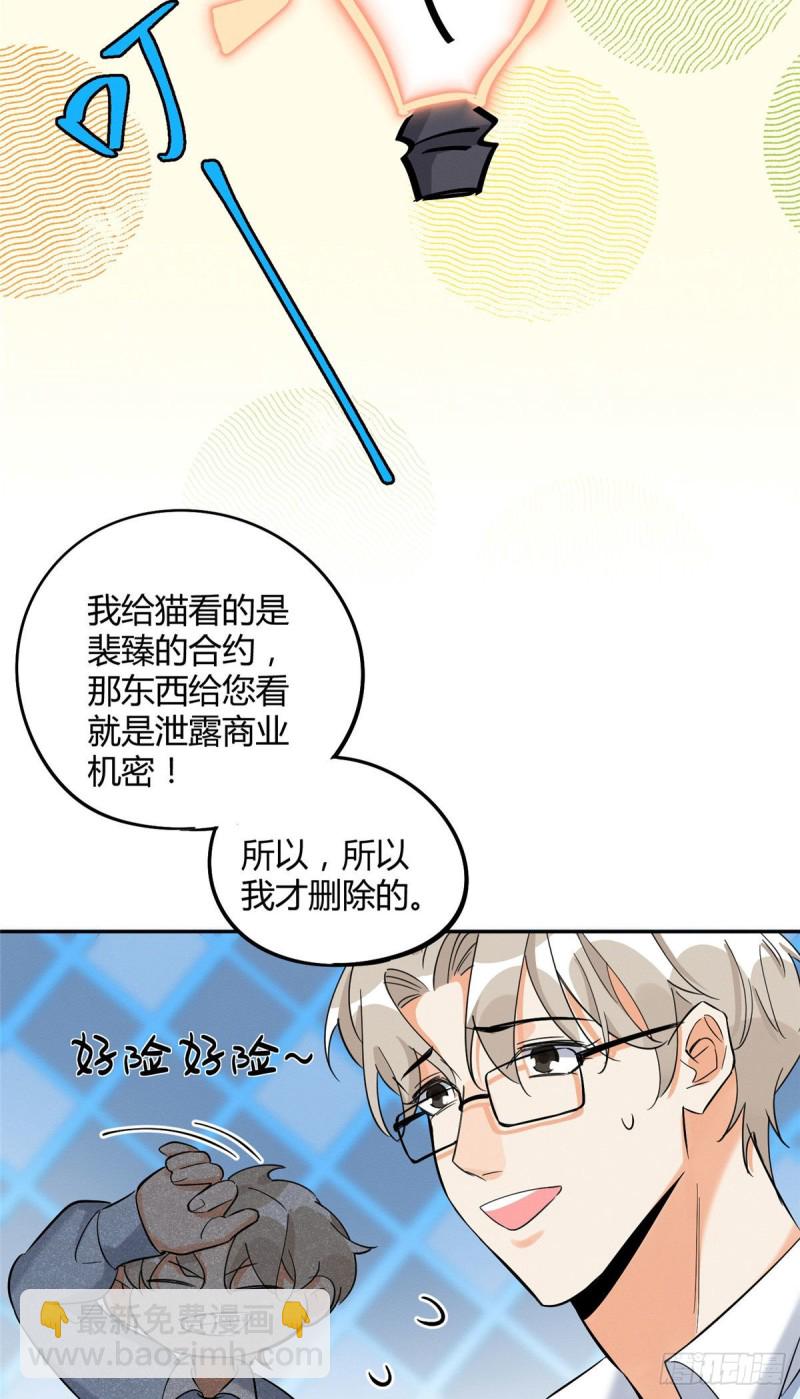 《今天也要努力当只猫》第31话 为了裴裴，接了！ 第11页