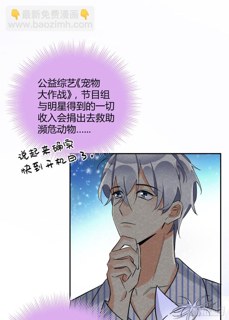 《今天也要努力当只猫》第31话 为了裴裴，接了！ 第16页