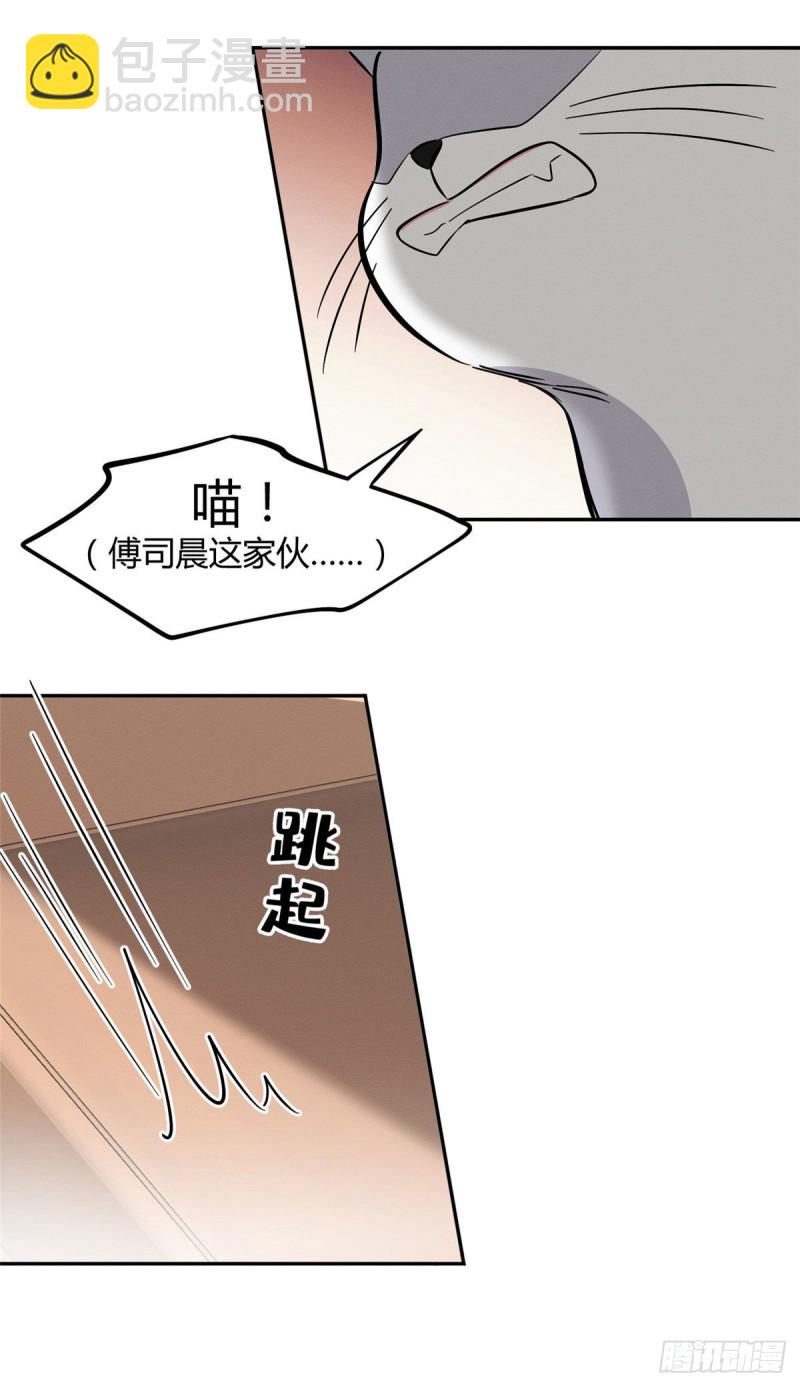 《今天也要努力当只猫》第31话 为了裴裴，接了！ 第23页