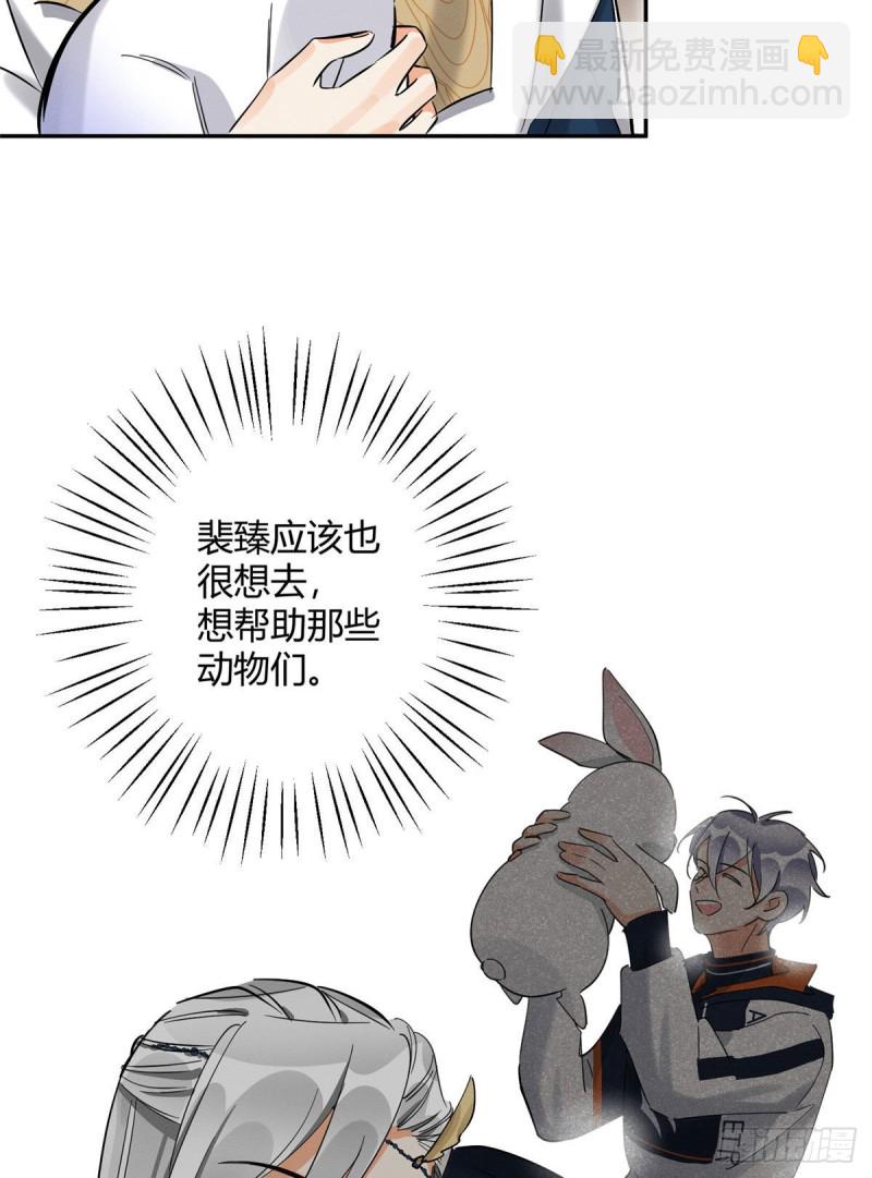 《今天也要努力当只猫》第31话 为了裴裴，接了！ 第29页