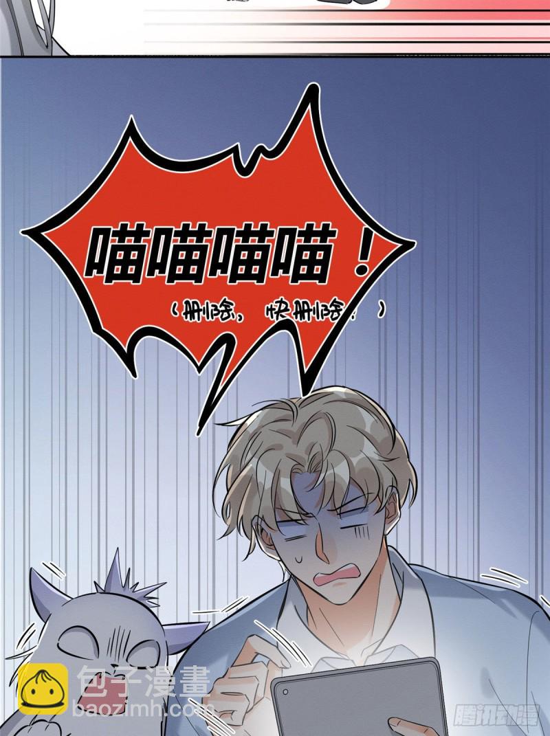 《今天也要努力当只猫》第31话 为了裴裴，接了！ 第4页