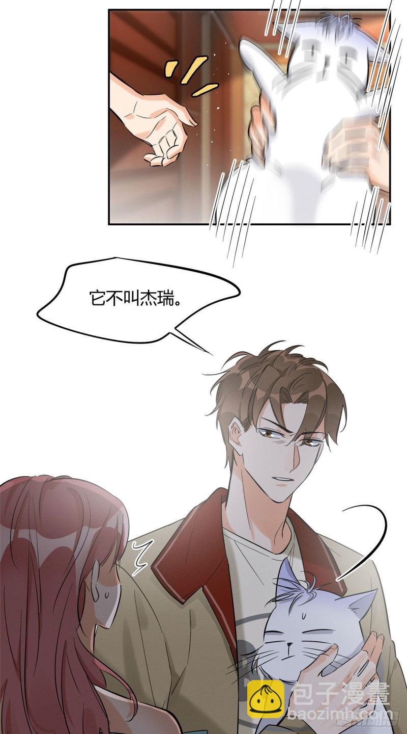 《今天也要努力当只猫》第30话 真相只有一个 第17页