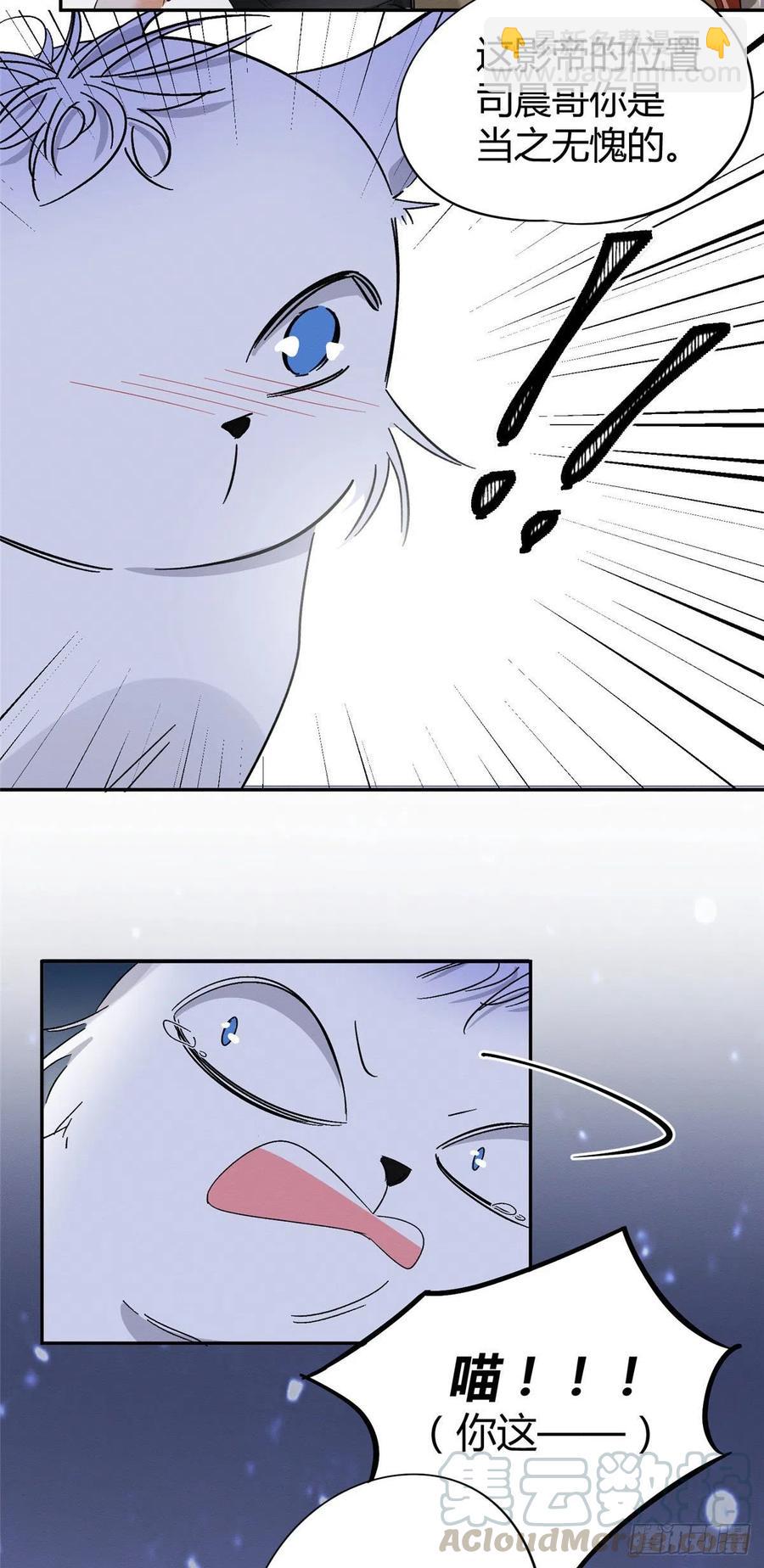 《今天也要努力当只猫》第32话 人会变成猫吗？ 第17页