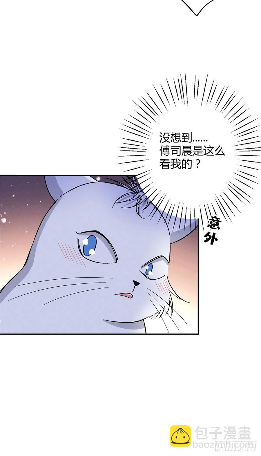 《今天也要努力当只猫》第32话 人会变成猫吗？ 第20页