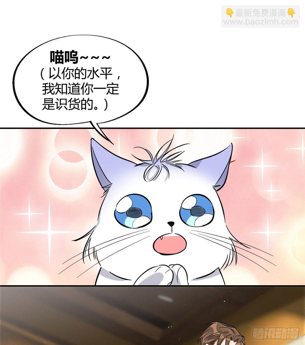 《今天也要努力当只猫》第29话 和你一起很安心 第13页