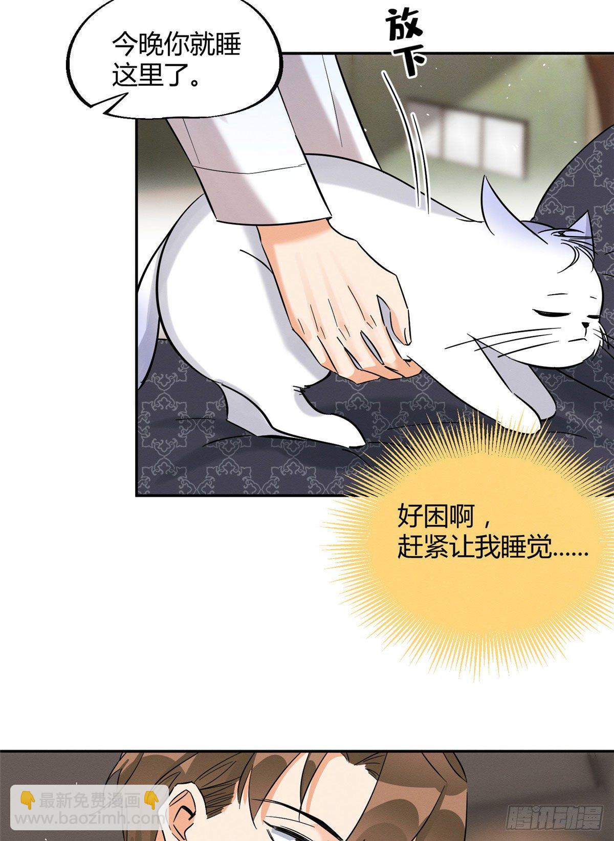 《今天也要努力当只猫》第29话 和你一起很安心 第24页