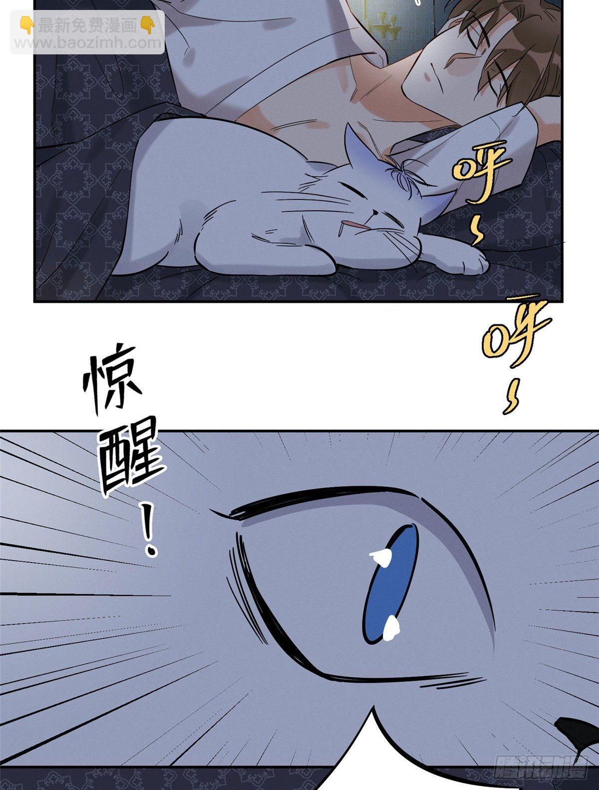 《今天也要努力当只猫》第29话 和你一起很安心 第27页