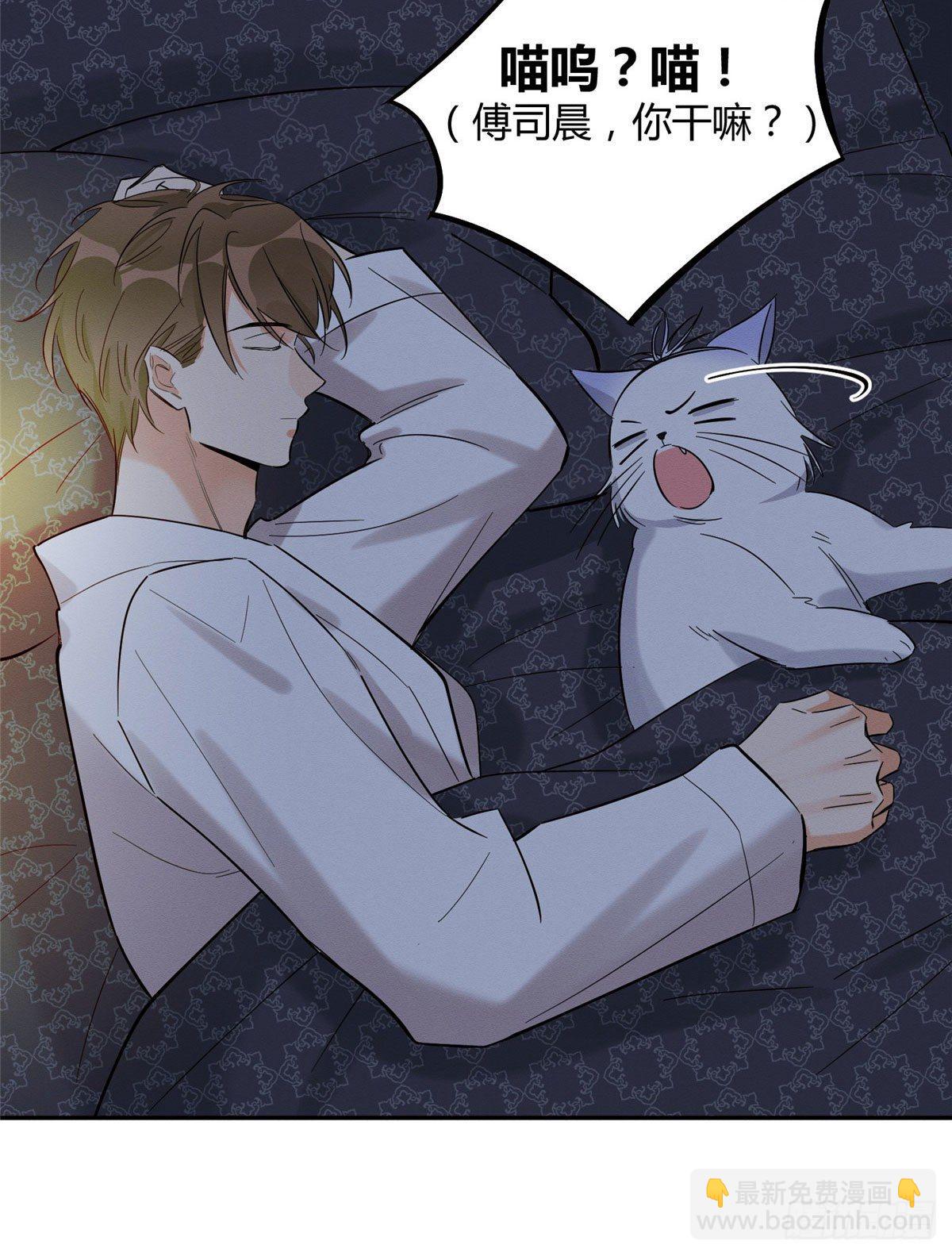 《今天也要努力当只猫》第29话 和你一起很安心 第28页
