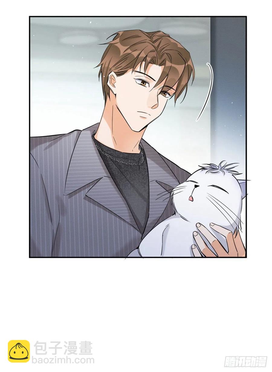 《今天也要努力当只猫》第36话 变成猫怎么恢复？ 第10页