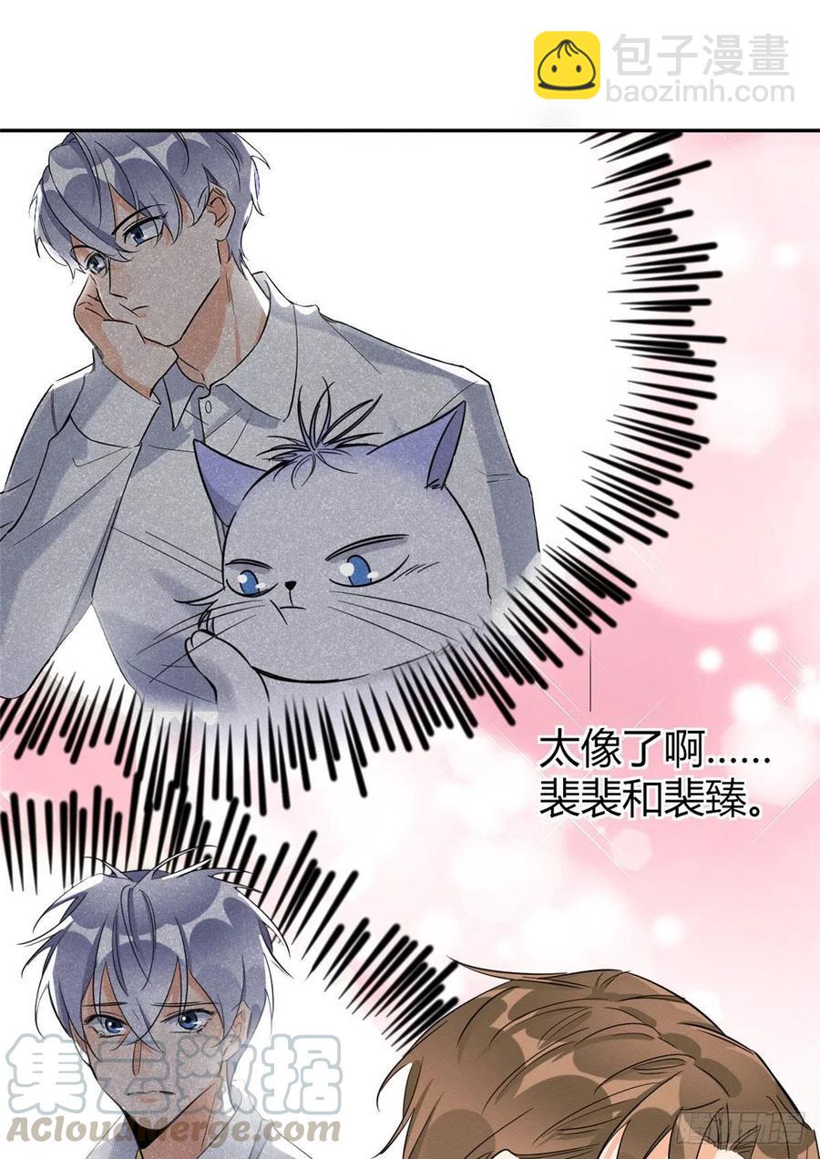 《今天也要努力当只猫》第36话 变成猫怎么恢复？ 第11页