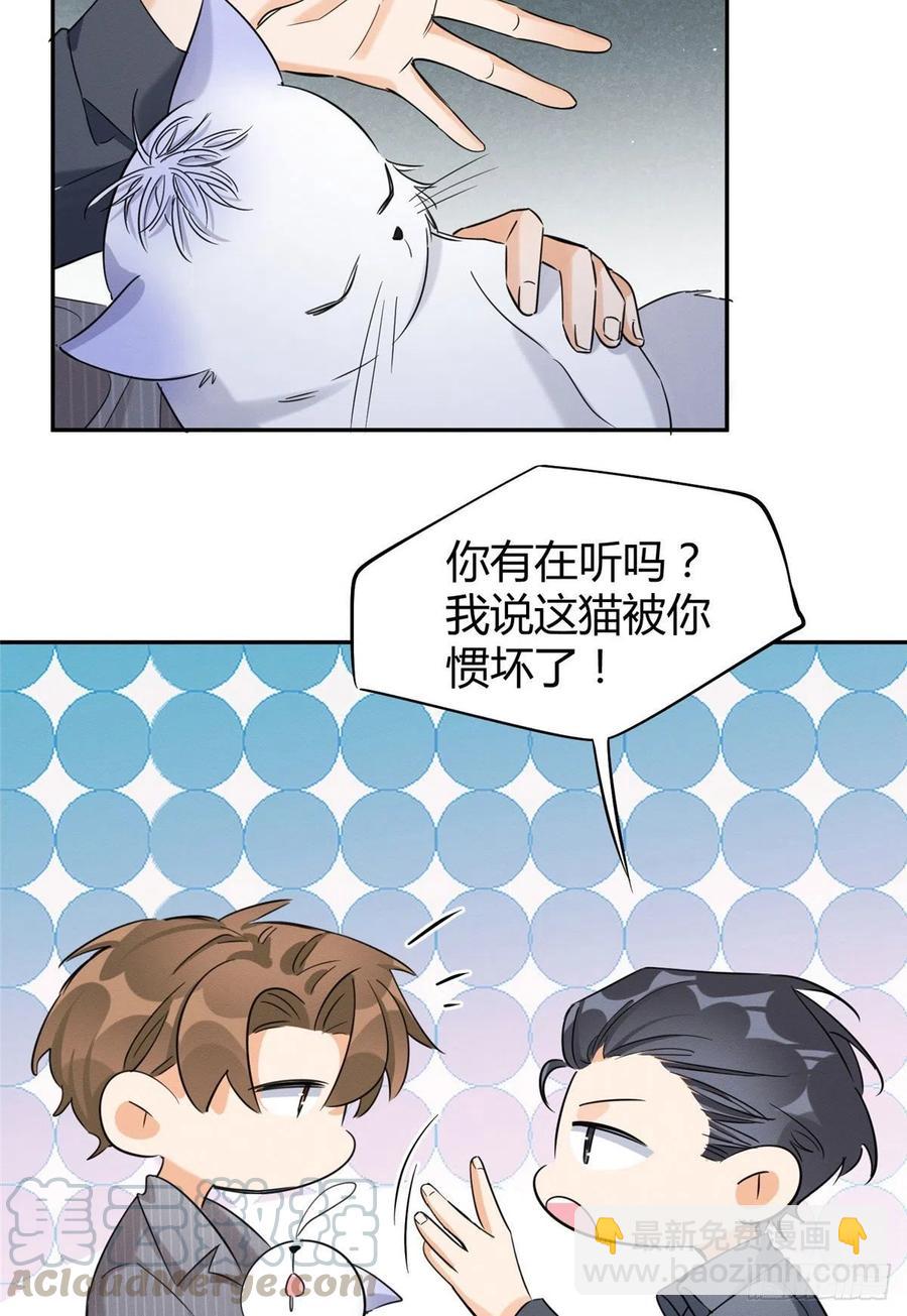 《今天也要努力当只猫》第36话 变成猫怎么恢复？ 第13页