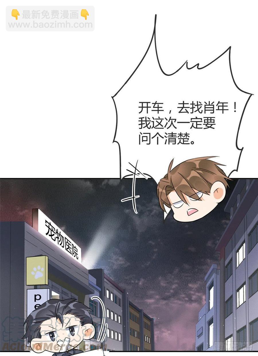 《今天也要努力当只猫》第36话 变成猫怎么恢复？ 第15页
