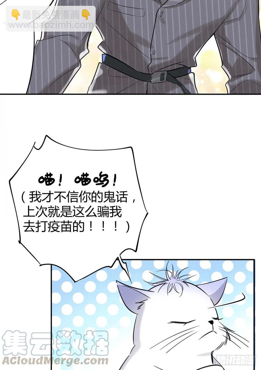 《今天也要努力当只猫》第36话 变成猫怎么恢复？ 第3页