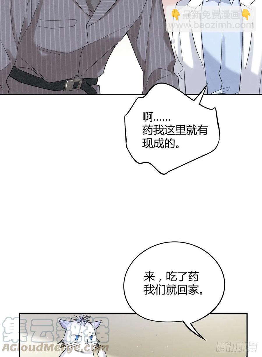 《今天也要努力当只猫》第36话 变成猫怎么恢复？ 第5页