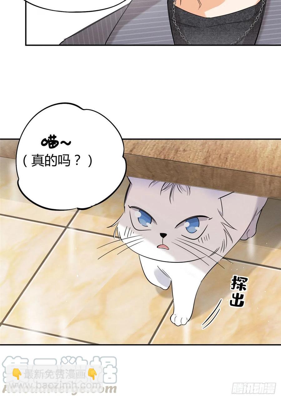 《今天也要努力当只猫》第36话 变成猫怎么恢复？ 第7页