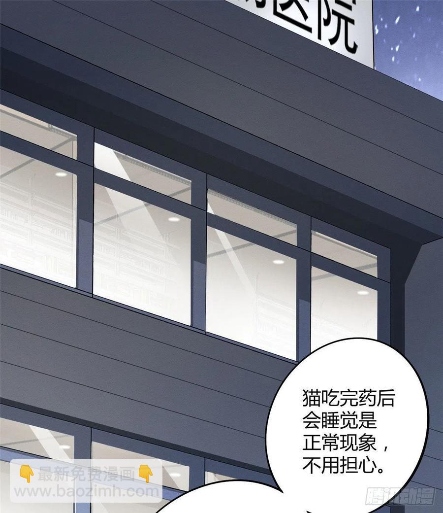 《今天也要努力当只猫》第36话 变成猫怎么恢复？ 第8页